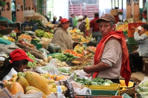 Al 2050 el Perú seguiría siendo uno de los países con mayor empleo informal