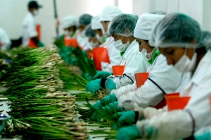 El Perú registró un superávit fiscal de 1.5% del PBI en el primer trimestre