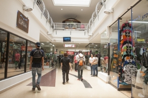 INEI: PBI del primer trimeste del año crece en 4.4% por mayor demanda interna